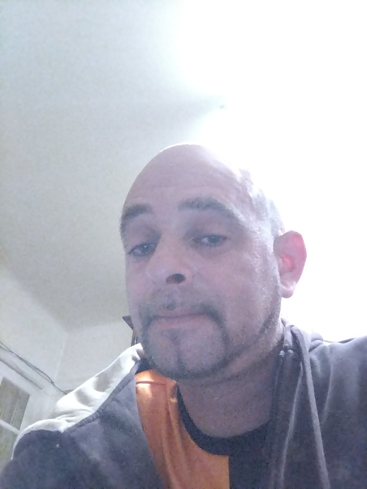 Profil de Michelangelo